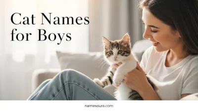Cat Names for Boys